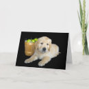 Search for apple birthday cards Cute