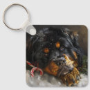 Search for tibetan key rings Pet