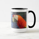 Search for rain forest mugs Parrots
