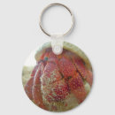 Search for hermit key rings Beach