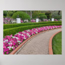 Search for hedge posters Photography