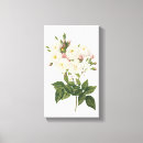 Search for redoute canvas prints Botany