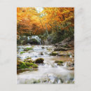 Search for autumn forest postcards Beauty