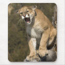 Search for captivating mouse mats Usa