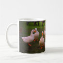 Search for funny drinking photography Birds