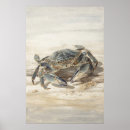 Search for blue crab posters Nautical