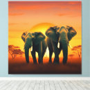 Search for african sunset canvas prints Wildlife