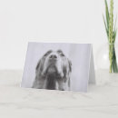 Search for penny cards Dog