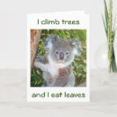 Search for funny chef birthday cards Koala
