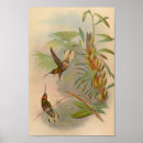 Search for black and white antique bird posters Flower
