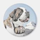 Search for bernard magnets Saint