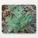 Search for pine needle mouse mats Forest