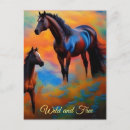 Search for equine postcards Colourful
