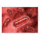 Search for germe postcards Medical