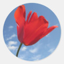 Search for blue skies stickers Sky