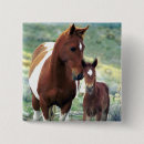 Search for foal accessories Adorable