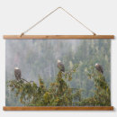 Search for eagle in winter art Bird