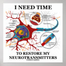 Search for neurotransmitter posters Neuron
