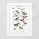Search for warbler postcards Wildlife