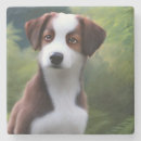 Search for collie coasters Puppy