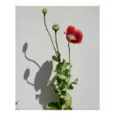 Search for opium posters Beauty