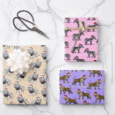 Search for lion christmas wrapping paper Animal