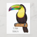 Search for keel billed toucan postcards Bird