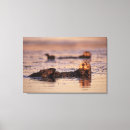 Search for sea otter canvas prints Paw