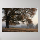 Search for reaching art Tree