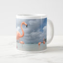 Search for lesser mugs Antilles