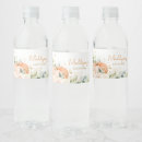 Search for sweet pumpkin stickers Orange