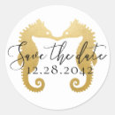 Search for ocean envelope seals Summer