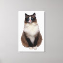 Search for ragdoll cat gifts Colour image