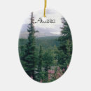 Search for denali national park christmas tree decorations Landscape