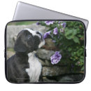Search for bob electronics Panting