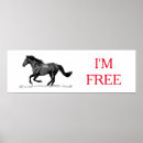 Search for white horse running posters Freedom