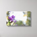 Search for summer flowers canvas prints Photography