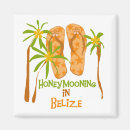 Search for belise magnets Vacation