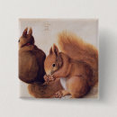 Search for red squirrel badges Nut