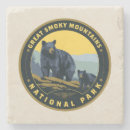 Search for great smoky mountains coasters Anderson design group