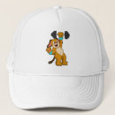 Search for dog training hats Pets