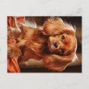 Search for charles spaniel postcards Cavie