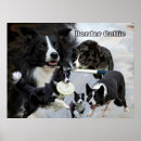 Search for dog agility art Herding