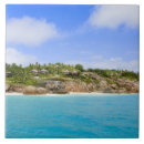 Search for fregate Tropical