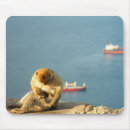 Search for apes mouse mats Wildlife