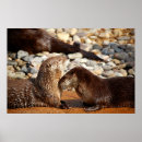 Search for river otter posters Animals