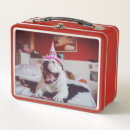 Search for bulldog lunch boxes Animal