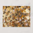 Search for beekeeping postcards Apiary