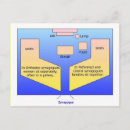 Search for passover postcards Judaism