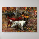 Search for english setter art Animals